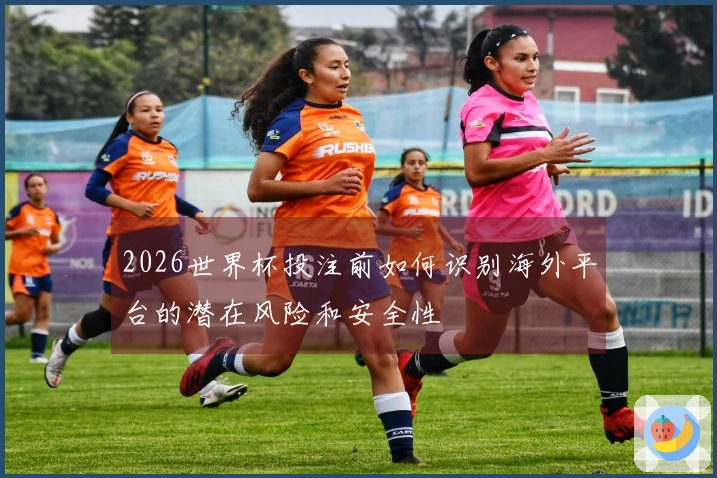 2026世界杯投注前如何识别海外平台的潜在风险和安全性
